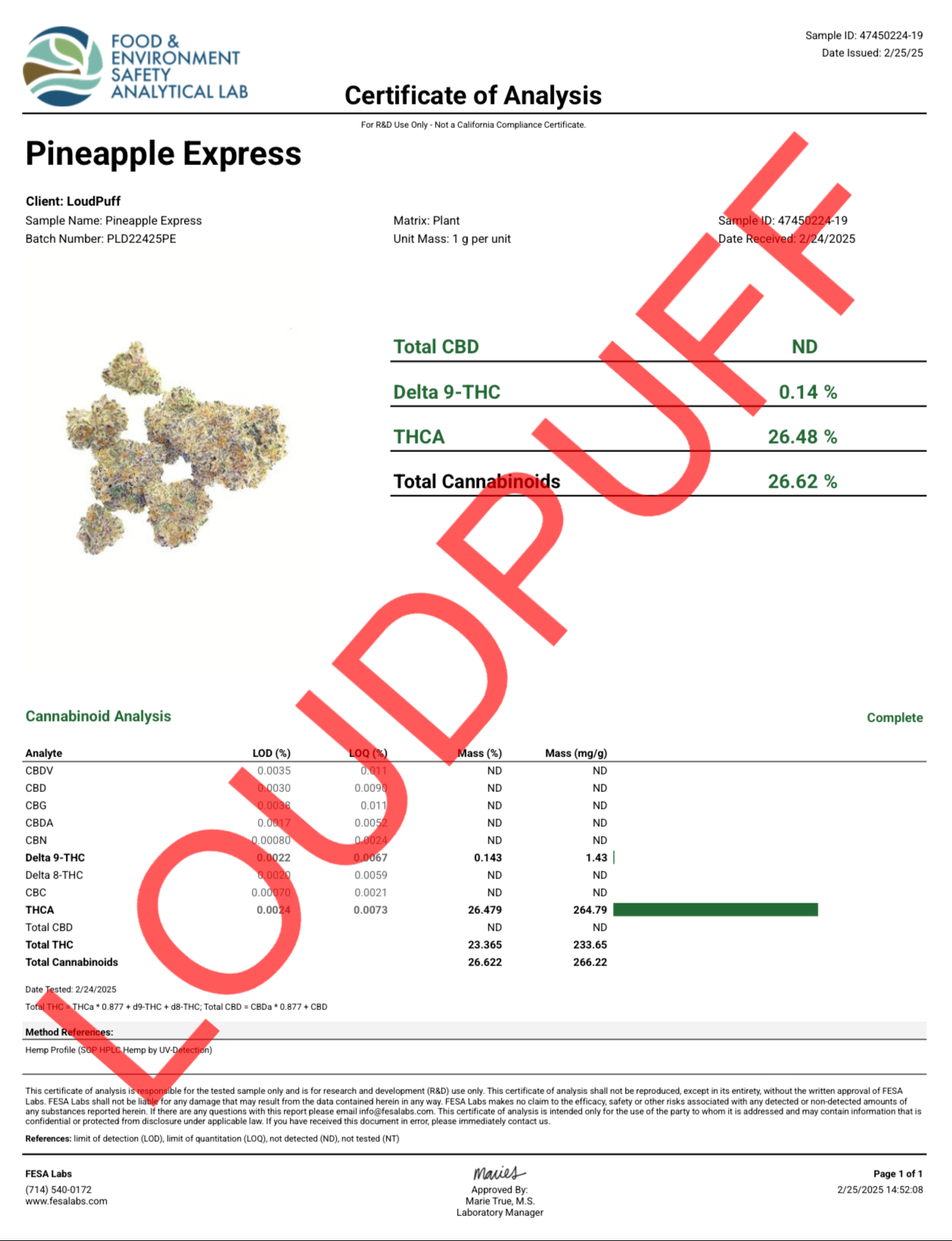 🏆Smokers Cup Pineapple Express THCa Flower 🏆 - Elevate Montgomery - Sky High Montgomery cincinnati