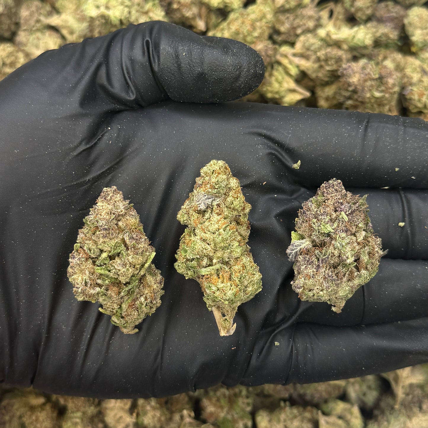 Unkle munkle Indoor Small Batch Premium THCa Flower - Elevate Montgomery - Sky High Montgomery cincinnati