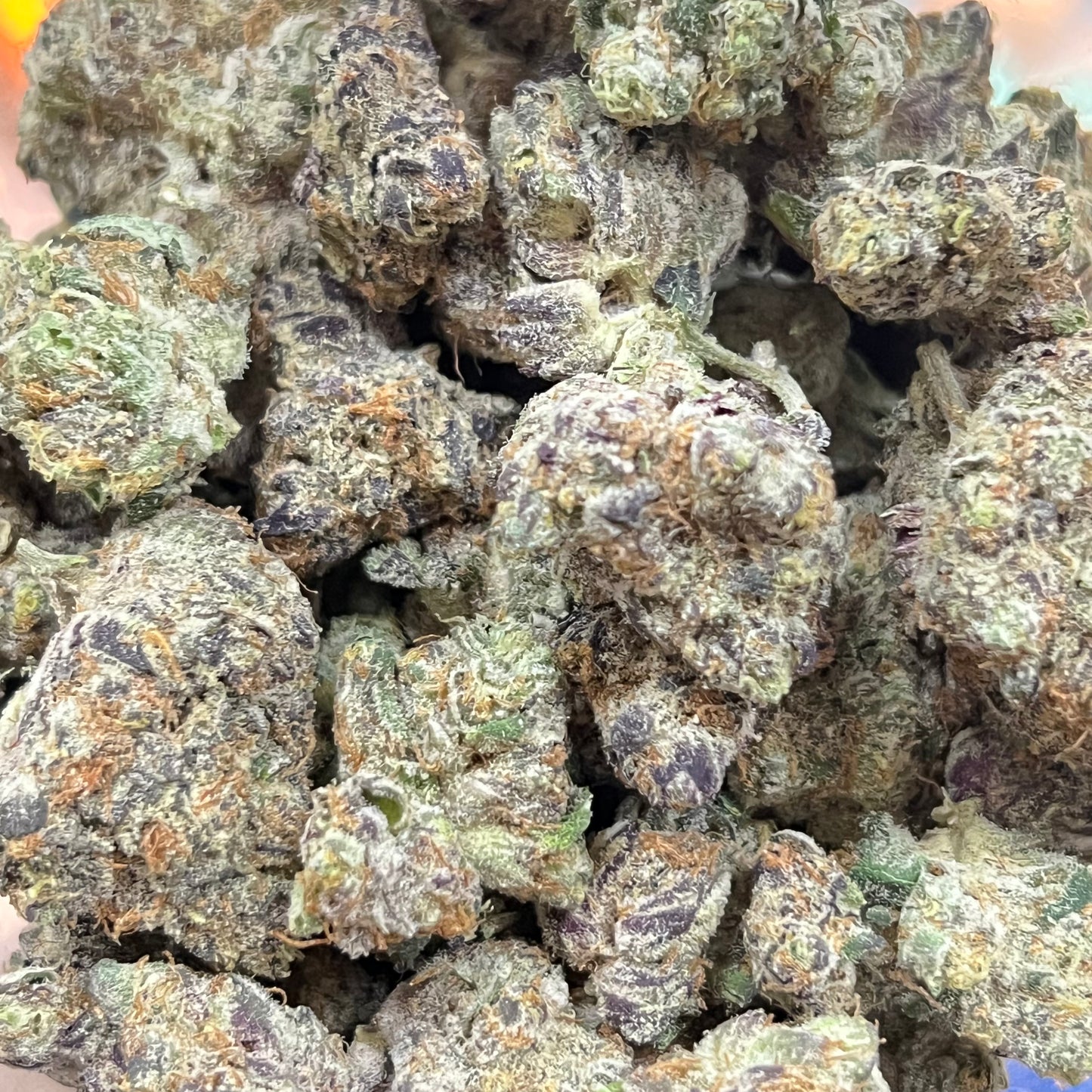 🏆White Russian Smoker's Cup Platinum THCa Flower🏆