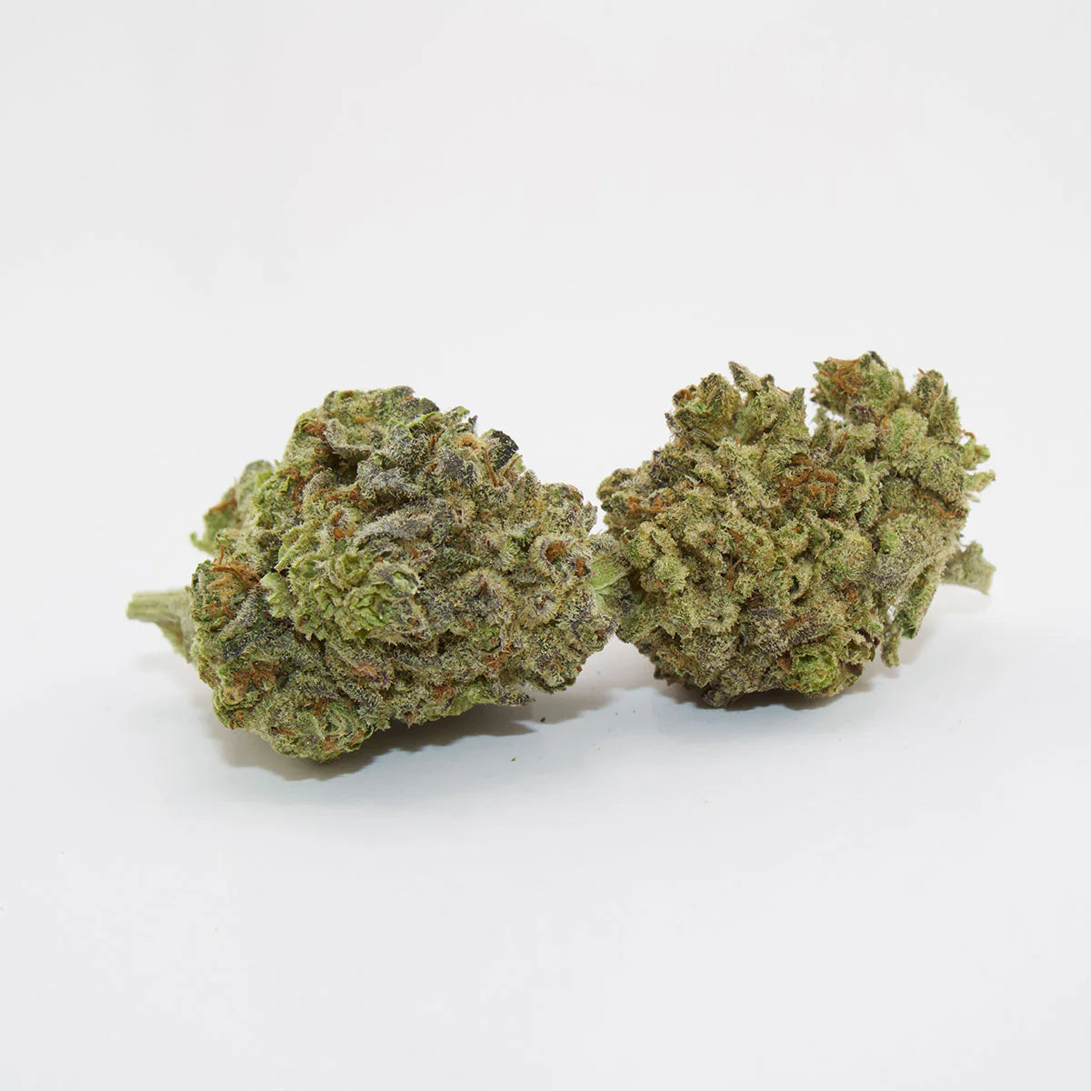 Ignite - Premium THCa Flower - Ignite - Sky High Montgomery cincinnati