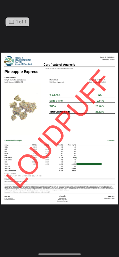🏆Smokers Cup Pineapple Express THCa Flower 🏆