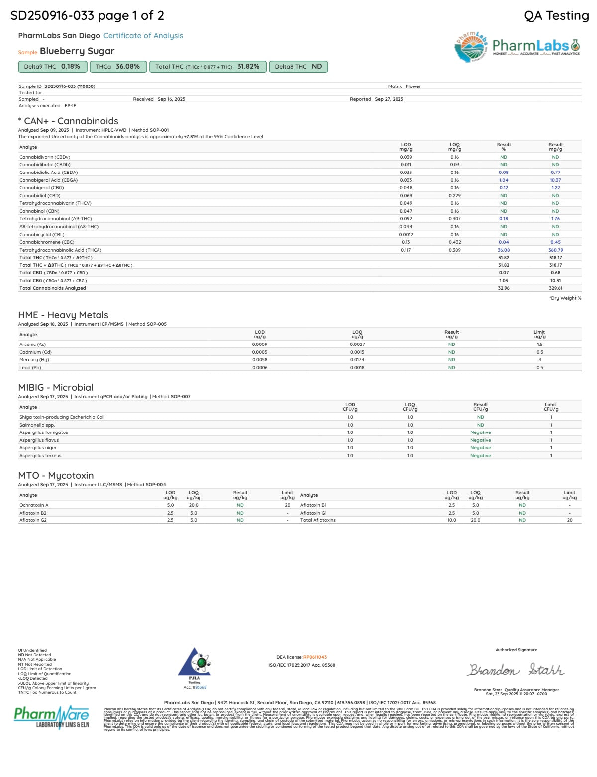 🏆Blueberry Sugar Smokers Cup Platinum THCa Flower🫡🏆