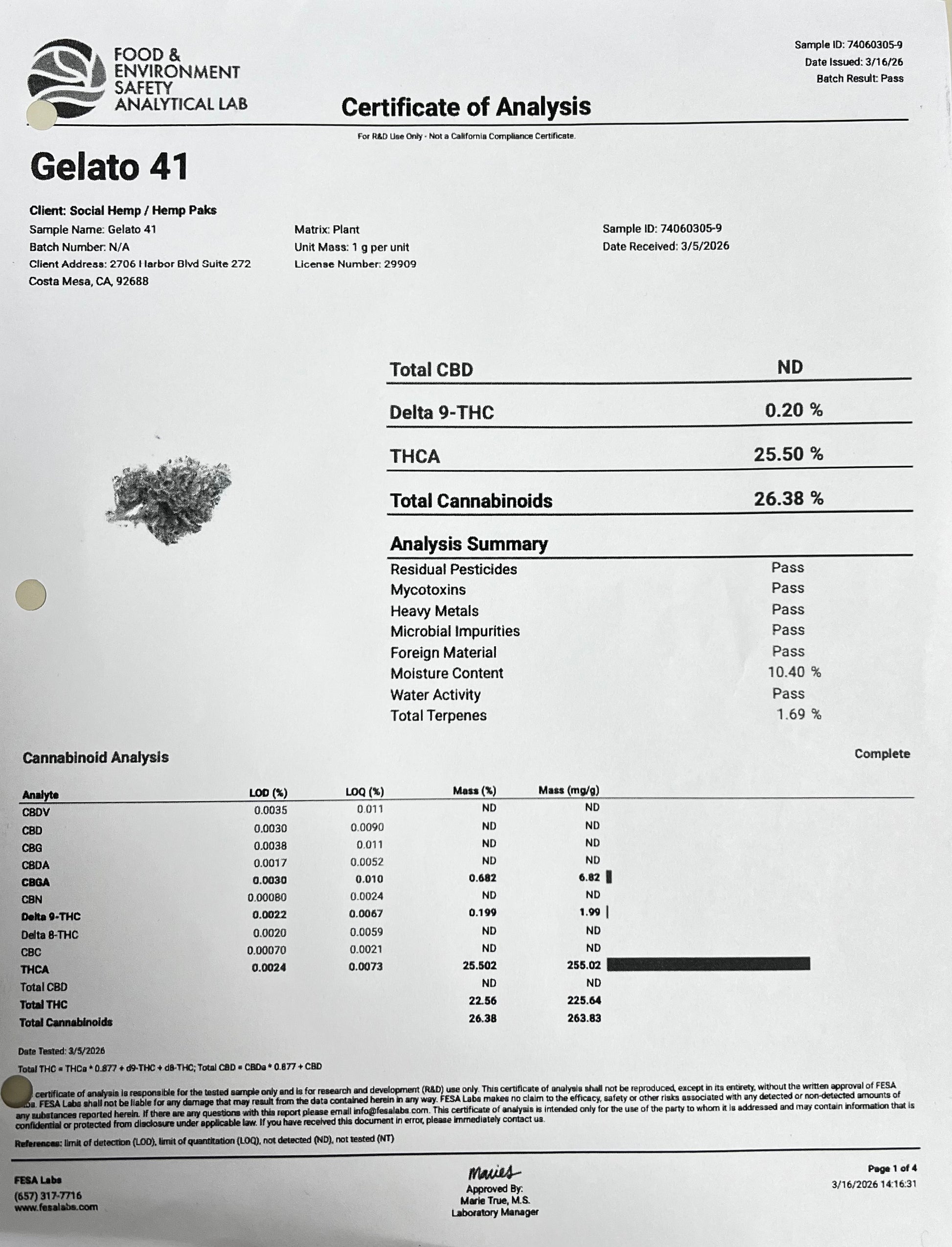 Gelato 41 - Premium THCa Flower - Elevate Montgomery - Sky High Montgomery cincinnati