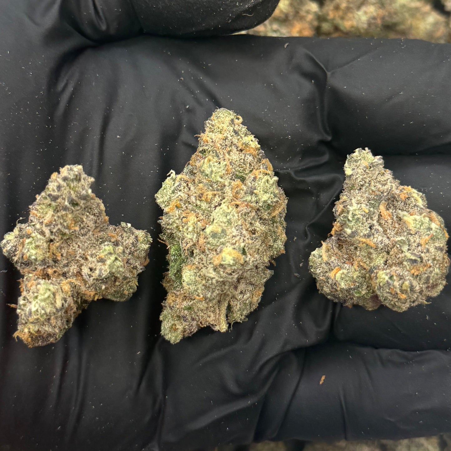 Rainbow Zkittles Platinum THCa Flower - Elevate Montgomery - Sky High Montgomery cincinnati