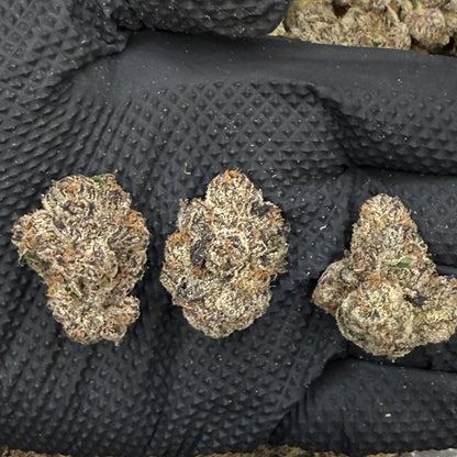 White Truffle - Platinum Indica Dom Flower - Elevate Montgomery - Sky High Montgomery cincinnati