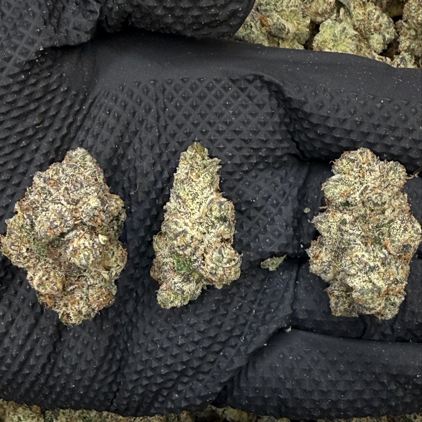 Cereal Milk - Platinum Hybrid Flower - Elevate Montgomery - Sky High Montgomery cincinnati