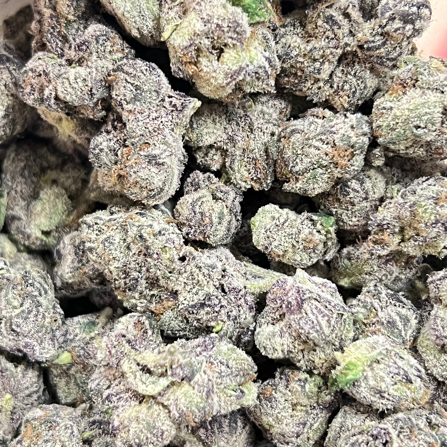 🏆Lemon Cherry Gelato Smoker’s Cup Platinum THCa Flower🏆