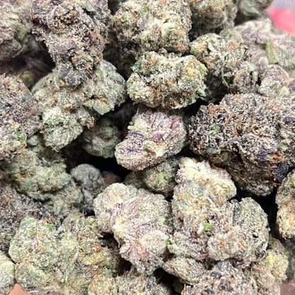 🏆Blueberry Sugar Smokers Cup Platinum THCa Flower🫡🏆