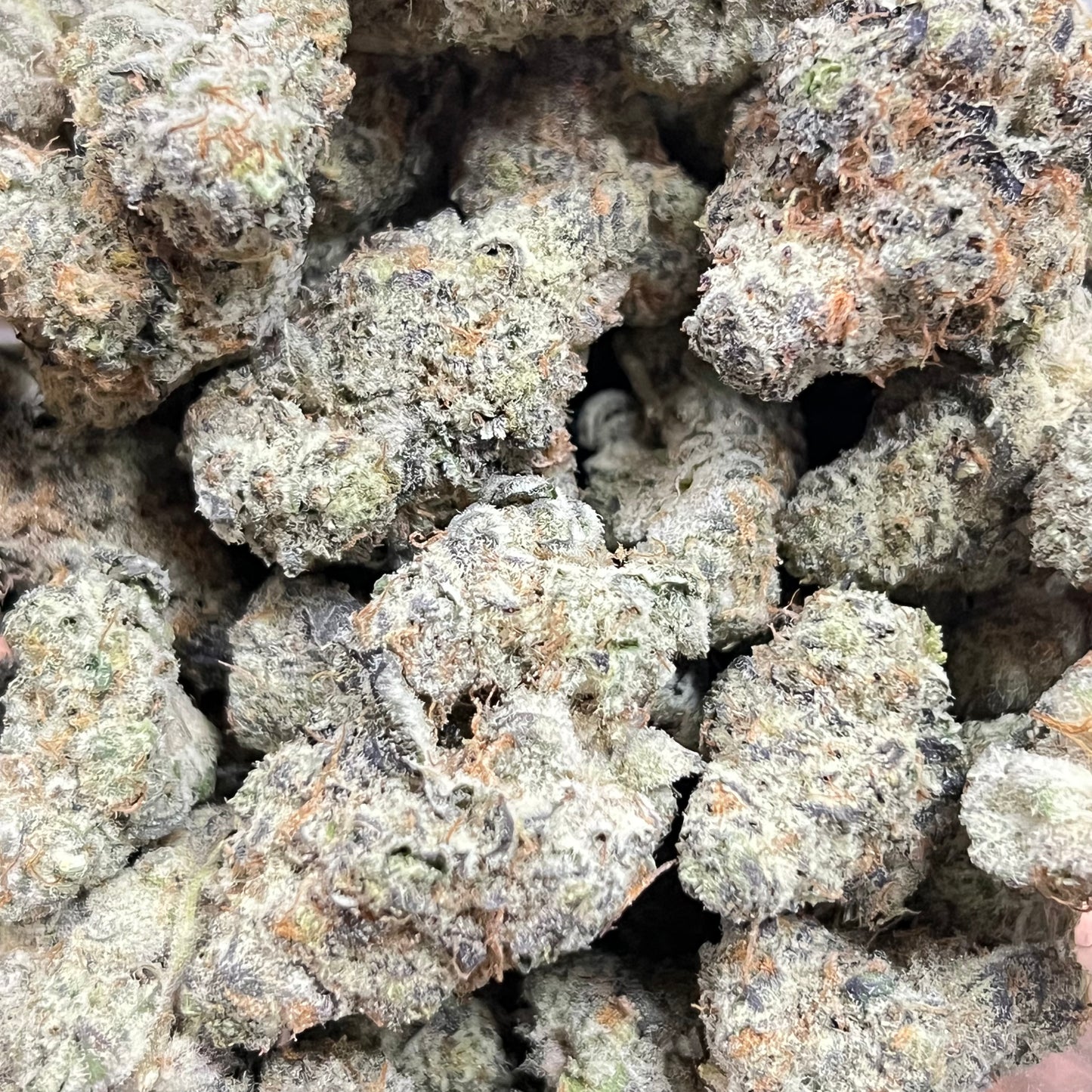 🏆Do Si Do Smoker's Cup Platinum THCa Flower🏆