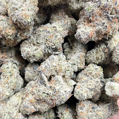 🏆Do Si Do Smoker's Cup Platinum THCa Flower🏆