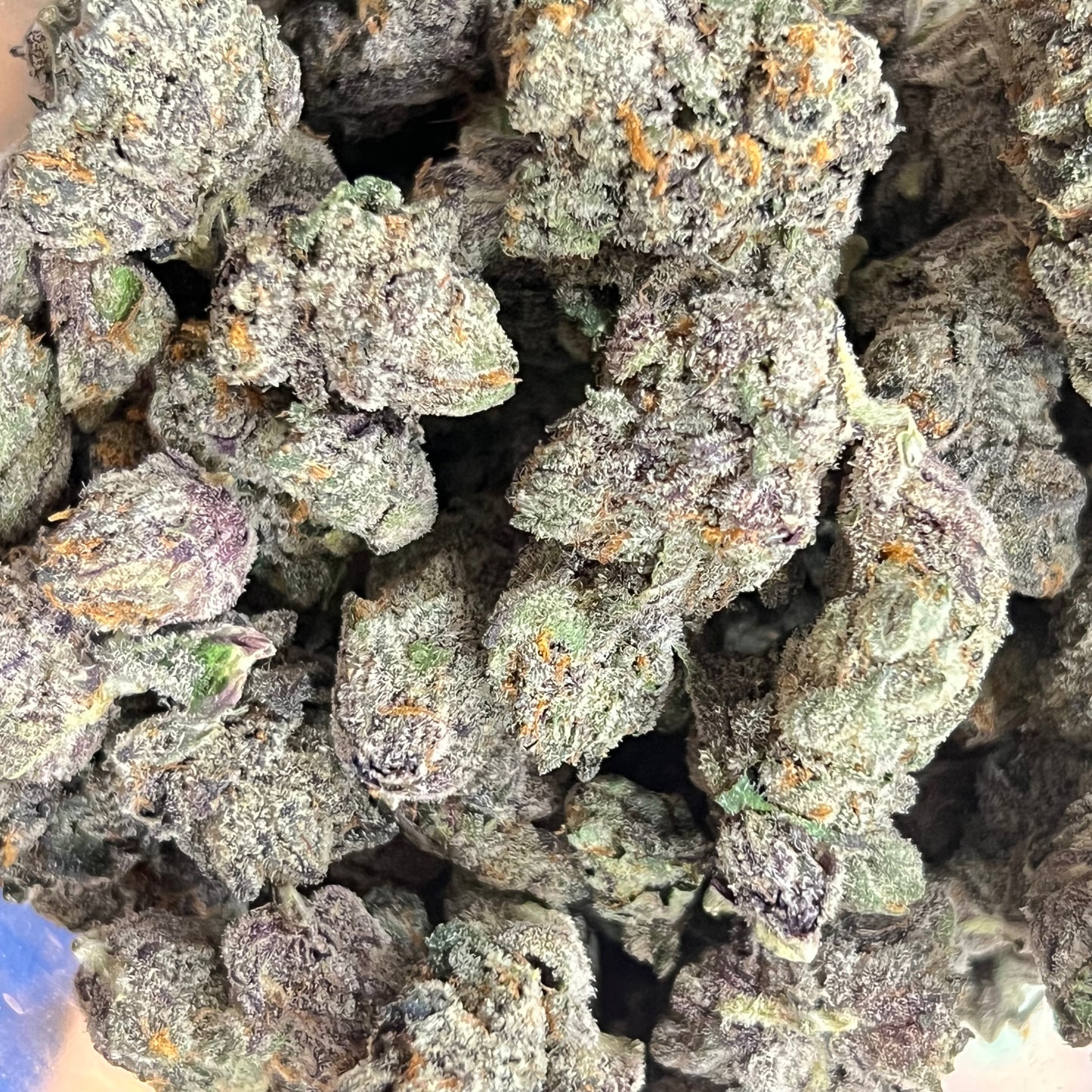 🏆Unicorn Poop Smoker's Cup Platinum THCa Flower🏆