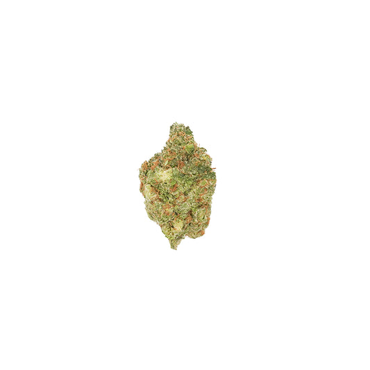 Pluto exotic flower — single bud, front view
