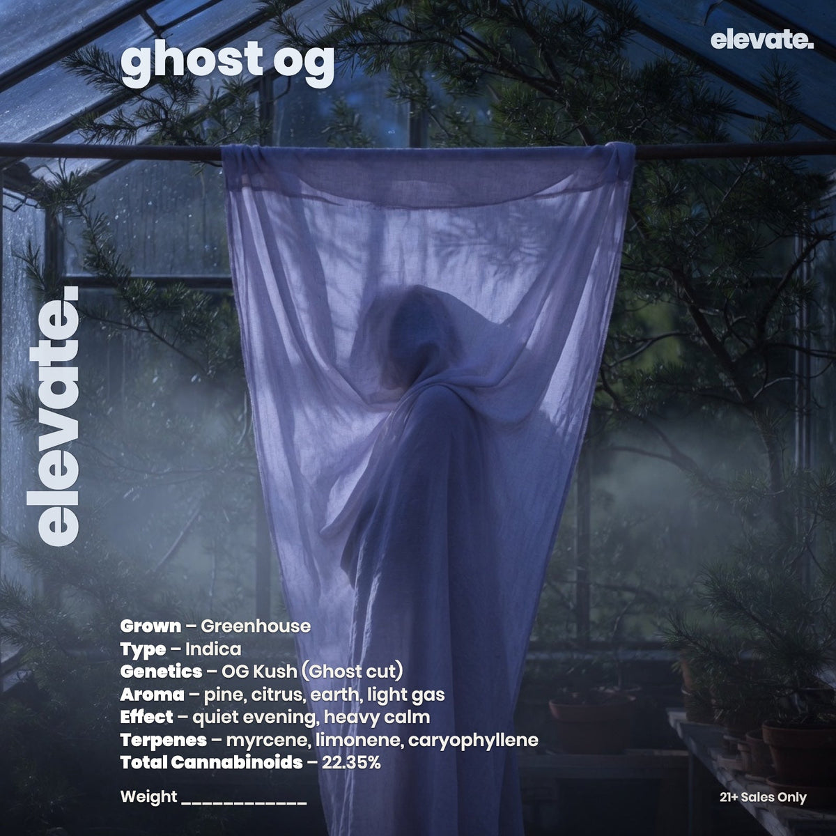 Ghost OG Boutique Flower (Indica 24.11%) jar label