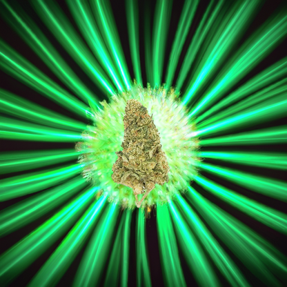 Green Crack Indoor Boutique THCa Flower - Sativa - Elevate Montgomery - Sky High Montgomery cincinnati