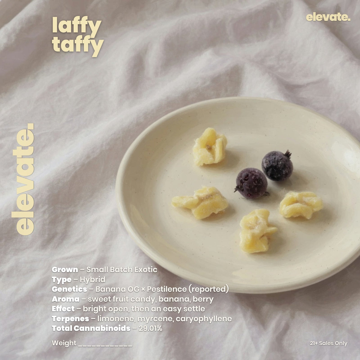 Laffy Taffy Smoker's Cup Flower (Sativa Hybrid 28.36%) jar label