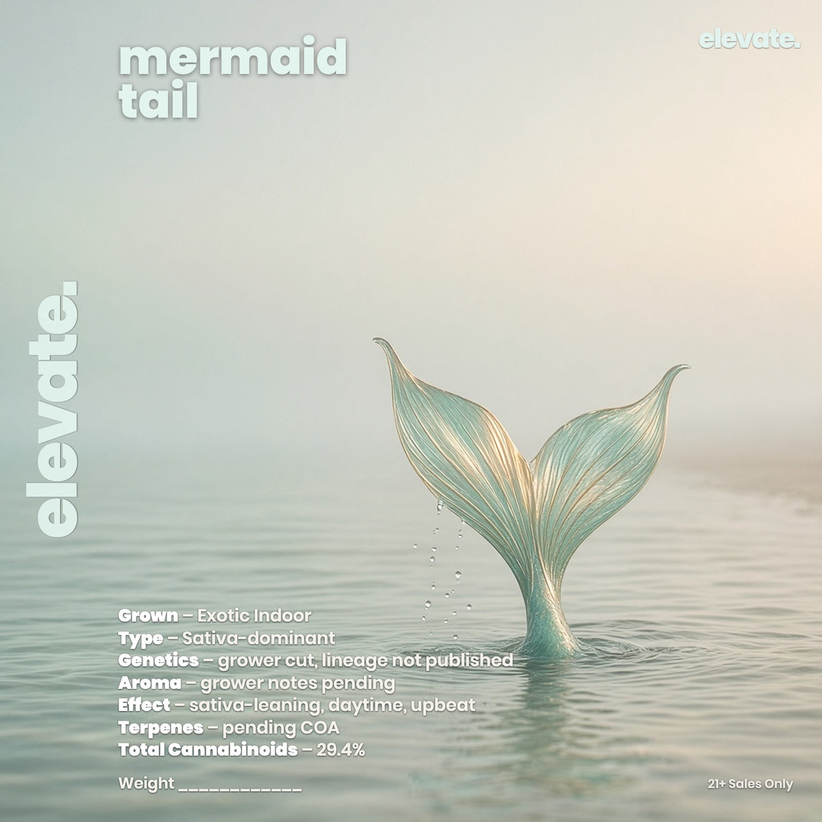 Mermaid Tail Exotic Indoor Flower (Sativa 29.4%) jar label