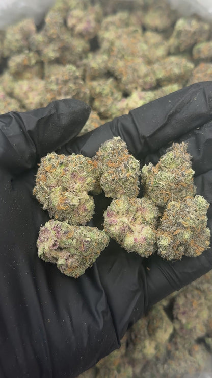 Rainbow Zkittles - Platinum Indica Dom Flower