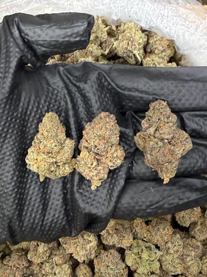 Purple Rhino Boutique Indoor Flower (Indica 27.52%)